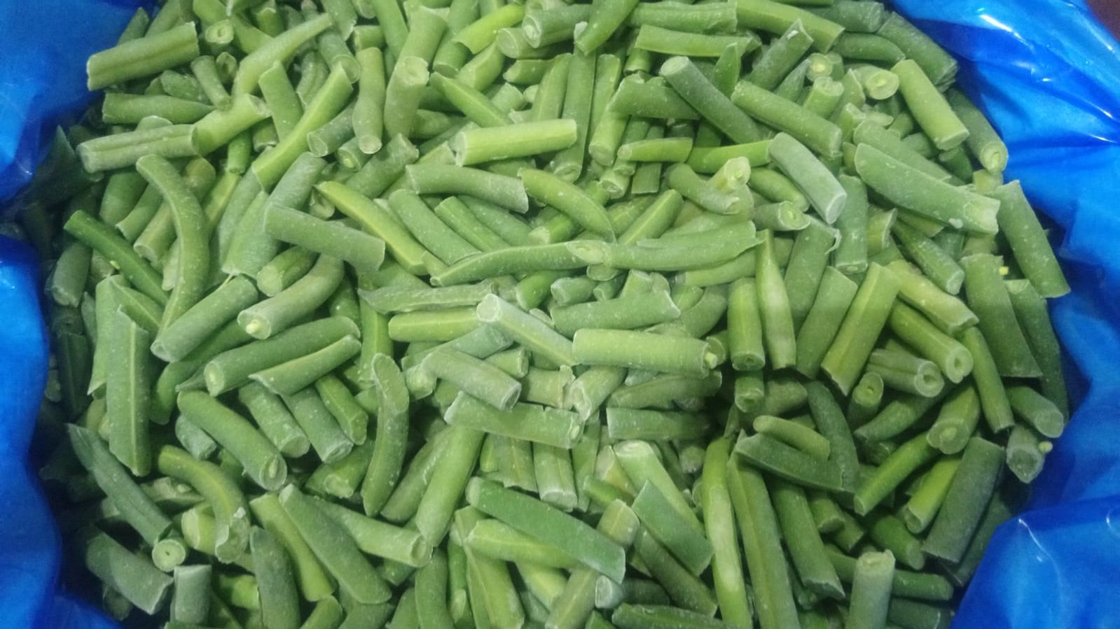 IQF-Green-Bean-rotated